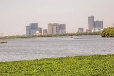 about 1200 metric tonnes of garbage removed from yamuna lg gave information