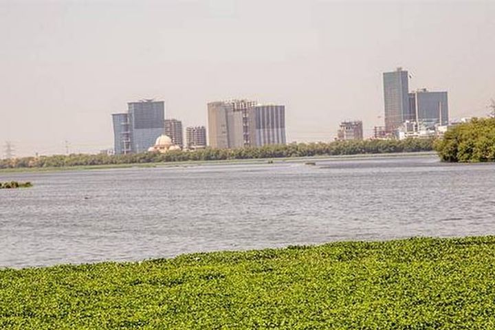 about 1200 metric tonnes of garbage removed from yamuna lg gave information