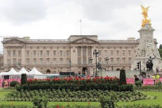 suspect arrested near buckingham palace