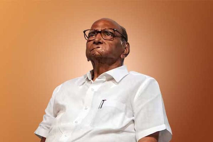 sharad pawar withdraws resignation ajit pawar absent from press conference
