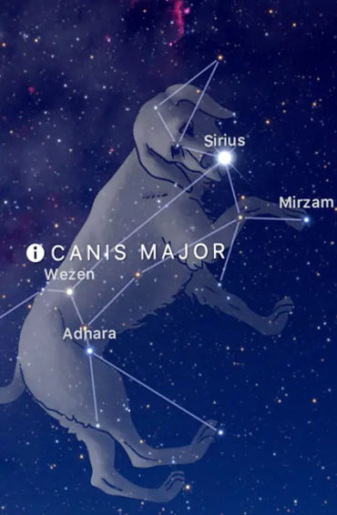 summer, summer season, summer carnival