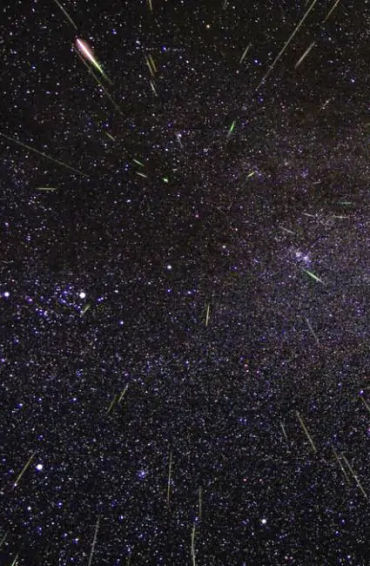 summer, summer season, summer carnival