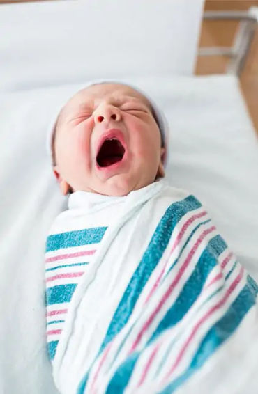 summer, summer season, summer carnival