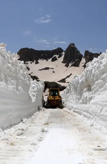 summer, summer season, summer carnival