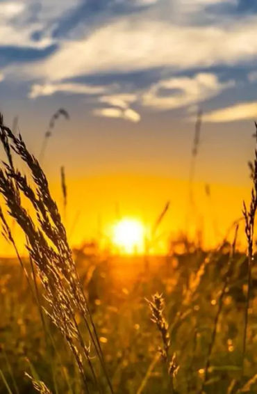 summer, summer season, summer carnival