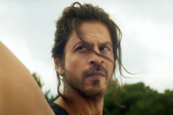 don 3 script is being written then srk will become don on screen