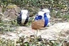 china made grenade found in ambala fear of connection with pak army