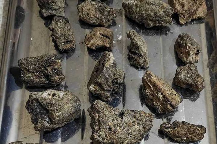 18 kg whale vomit seized by DRI cost around 32 crores