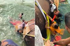 boat capsizes in ganga in ballia 7 killed 25 missing