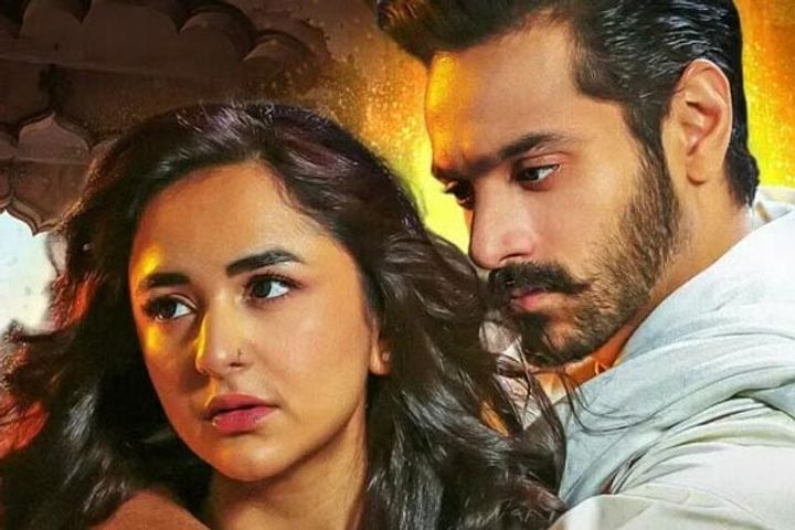 pakistani writer nooran makhdoom got brutally trolled after defending marital rape scene in tere bin