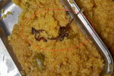 there was a snake in the midday meal more than 100 children ate the food there was a stir among the 