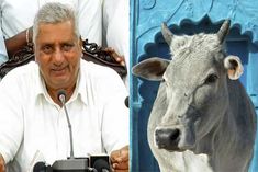 karnataka minister said if buffalo can be slaughtered then why not cow
