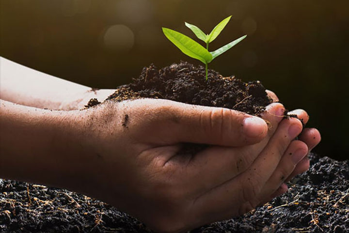 world environment day