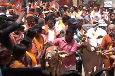 BJP workers hit the streets with cows against Siddaramaiah minister