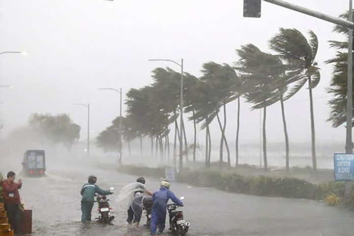 torrential rains in rajasthan from biparjoy trees uprooted in many areas of bhuj