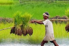 nabard should encourage farmers for crops that consume less water finance minister nirmala sitharama