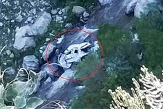 car fell into 500 meter deep gorge 4 people died