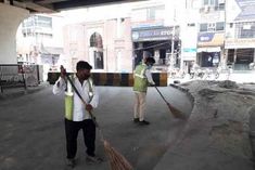 97 percent scavengers are in the grip of air pollution