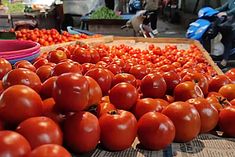 the most expensive sold in kolkata the price reached rs 155 per kg