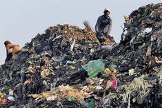 ngt strict on sewage and garbage disposal