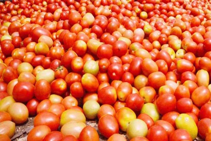 25 tonne tomato truck hijacked in karnataka