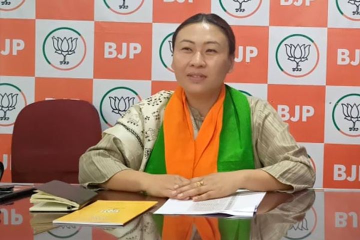 s phangnon nominated to panel of rajya sabha deputy chairman