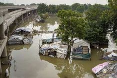 19 killed in vidarbha 3000 people stranded in junagadh