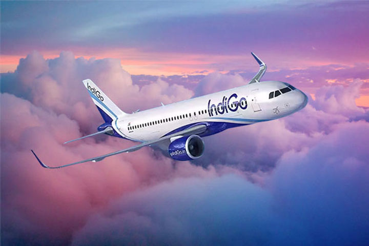 gofirst airline cancels all flights till july 25 gofirst airline cancels all flights till july 25