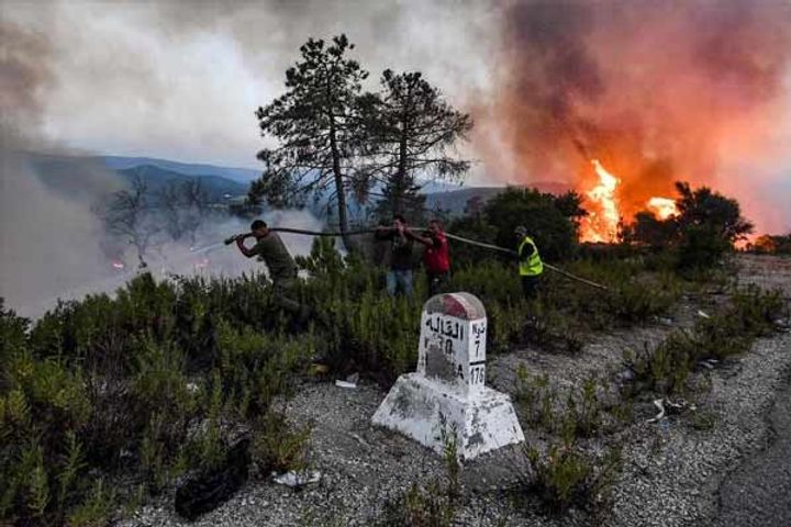 fierce forest fire in algeria 25 people including 10 soldiers died due to scorching fierce forest fire in algeria 25 people including 10 soldiers died due to scorching