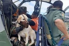 army launched rescue operation to save sick dog