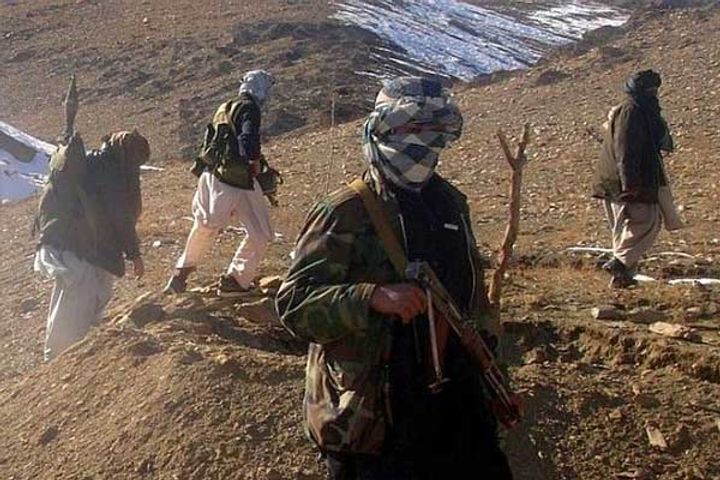 alqaeda is trying to increase network in jammu and kashmir alqaeda is trying to increase network in jammu and kashmir