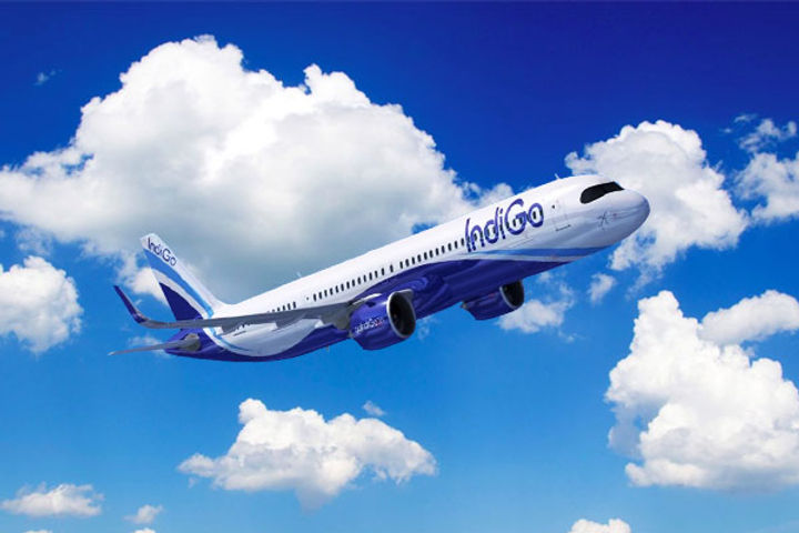 woman passenger spread bomb rumor on delay in investigation detained