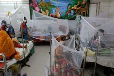 dengue havoc in bangladesh 261 people died so far