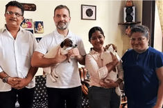 rahul gandhi adopts two puppies in goa