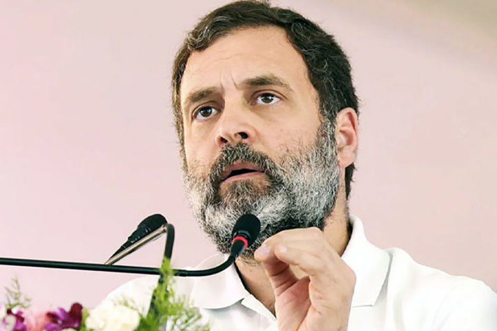 now rahul gandhi will be able to contest the lok sabha elections in 2024 the membership of parliamen now rahul gandhi will be able to contest the lok sabha elections in 2024 the membership of parliamen