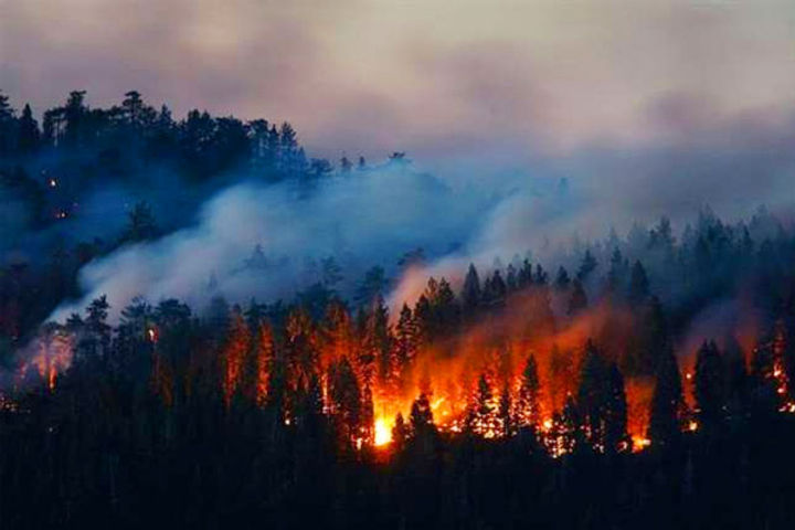 6 killed in forest fire on hawaiian island of maui 6 killed in forest fire on hawaiian island of maui