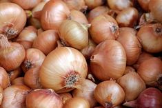 government will sell onion at rs 25 per kg in delhi from today